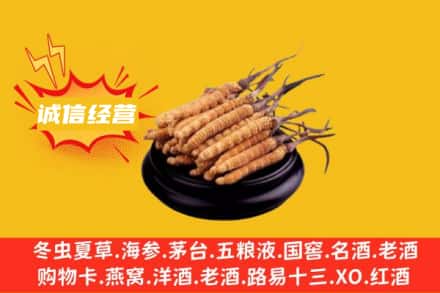 新乡回收冬虫夏草